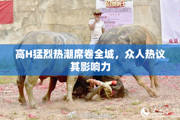高H猛烈热潮席卷全城，众人热议其影响力