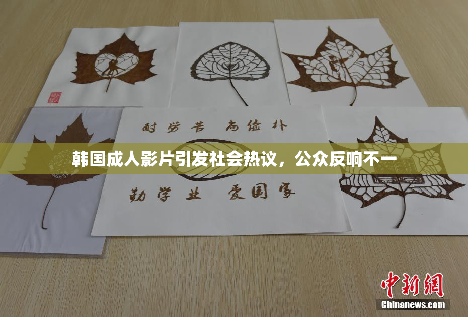 韩国成人影片引发社会热议，公众反响不一