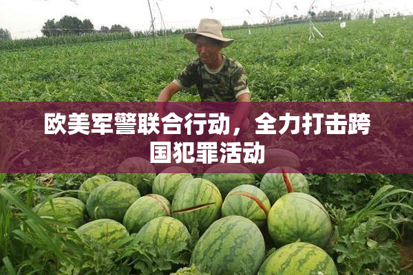 欧美军警联合行动，全力打击跨国犯罪活动