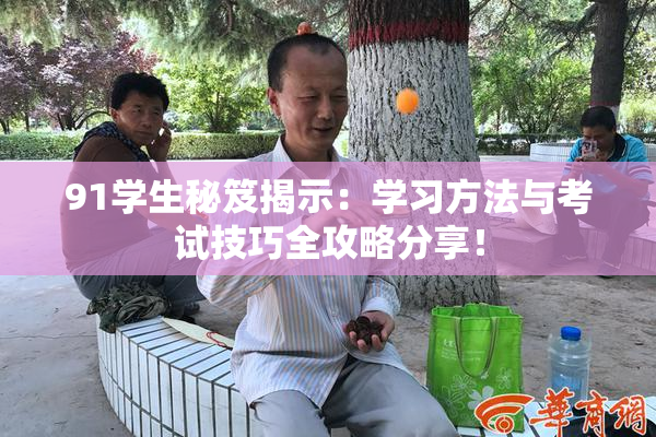 91学生秘笈揭示：学习方法与考试技巧全攻略分享！