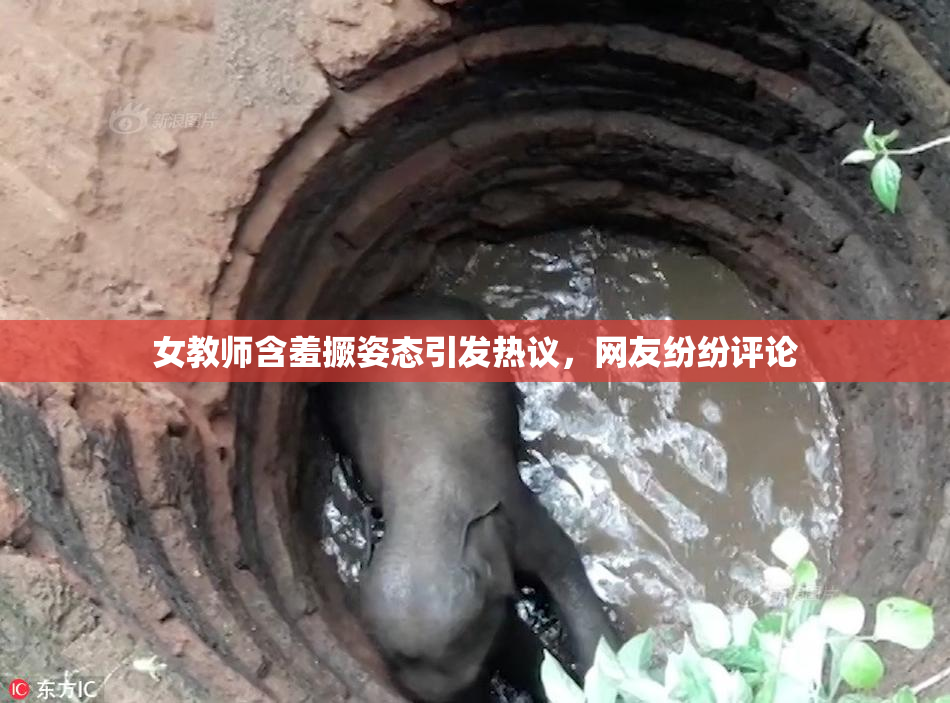 女教师含羞撅姿态引发热议，网友纷纷评论
