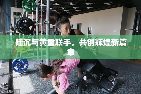 陆沉与黄重联手，共创辉煌新篇章