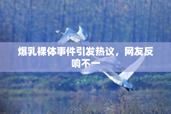 爆乳裸体事件引发热议，网友反响不一