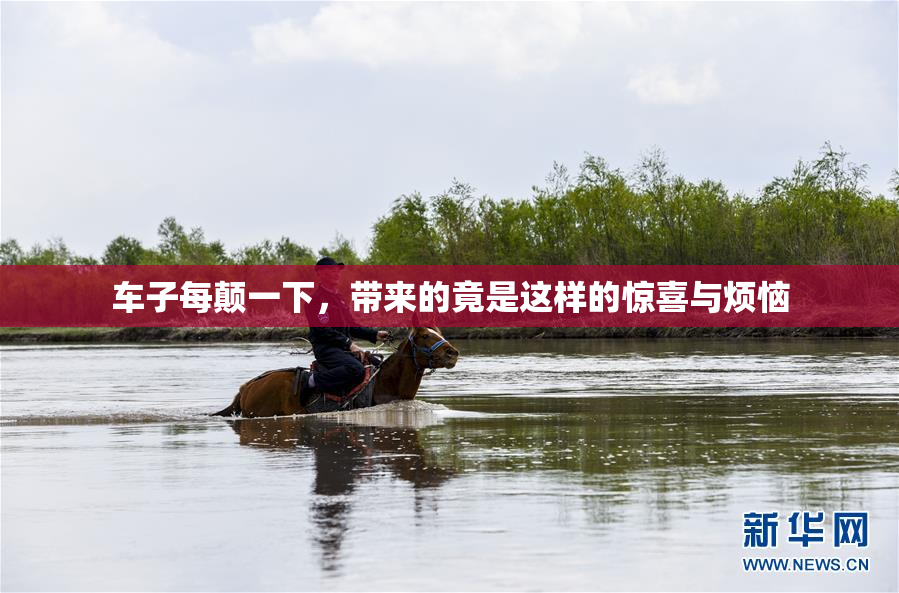车子每颠一下，带来的竟是这样的惊喜与烦恼
