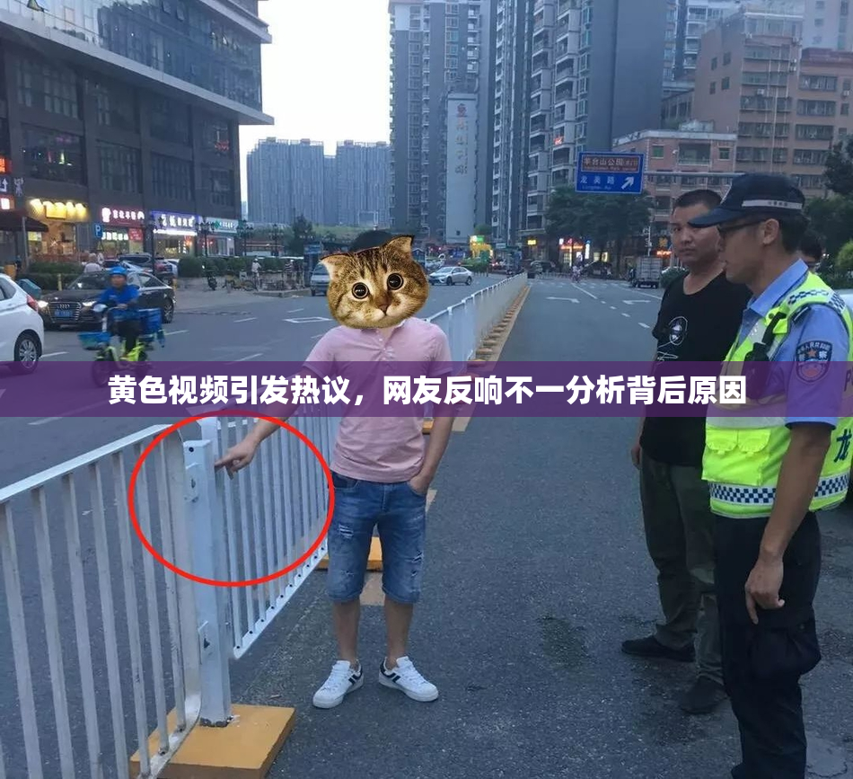 黄色视频引发热议，网友反响不一分析背后原因