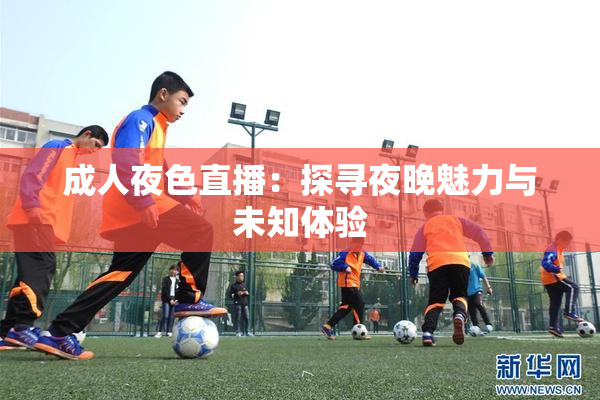 成人夜色直播：探寻夜晚魅力与未知体验