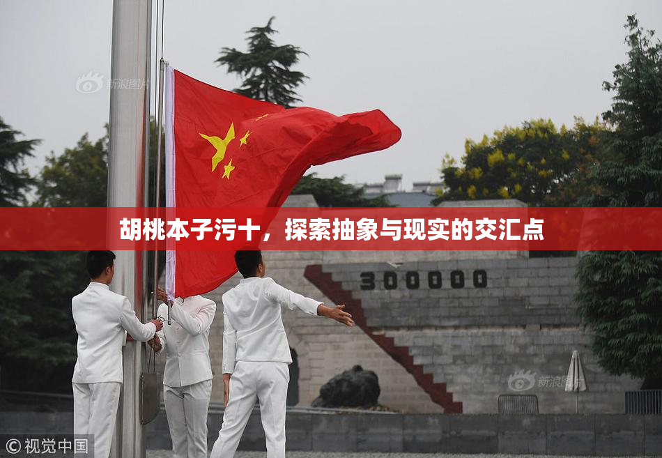 胡桃本子污十，探索抽象与现实的交汇点