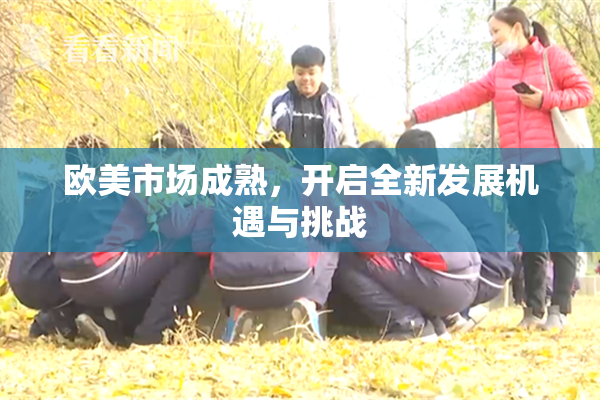 欧美市场成熟，开启全新发展机遇与挑战