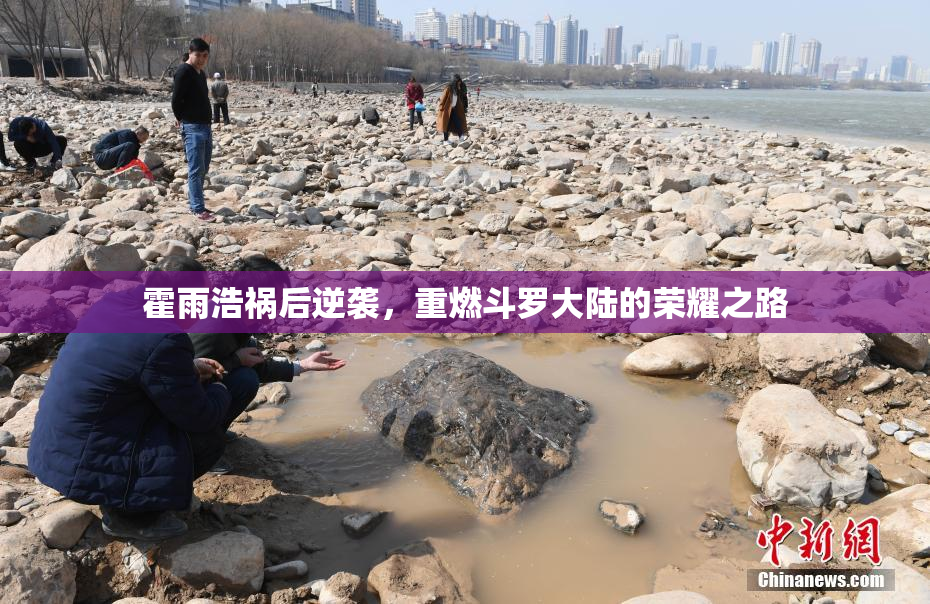 霍雨浩祸后逆袭，重燃斗罗大陆的荣耀之路