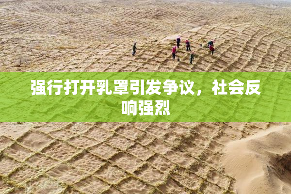 强行打开乳罩引发争议，社会反响强烈
