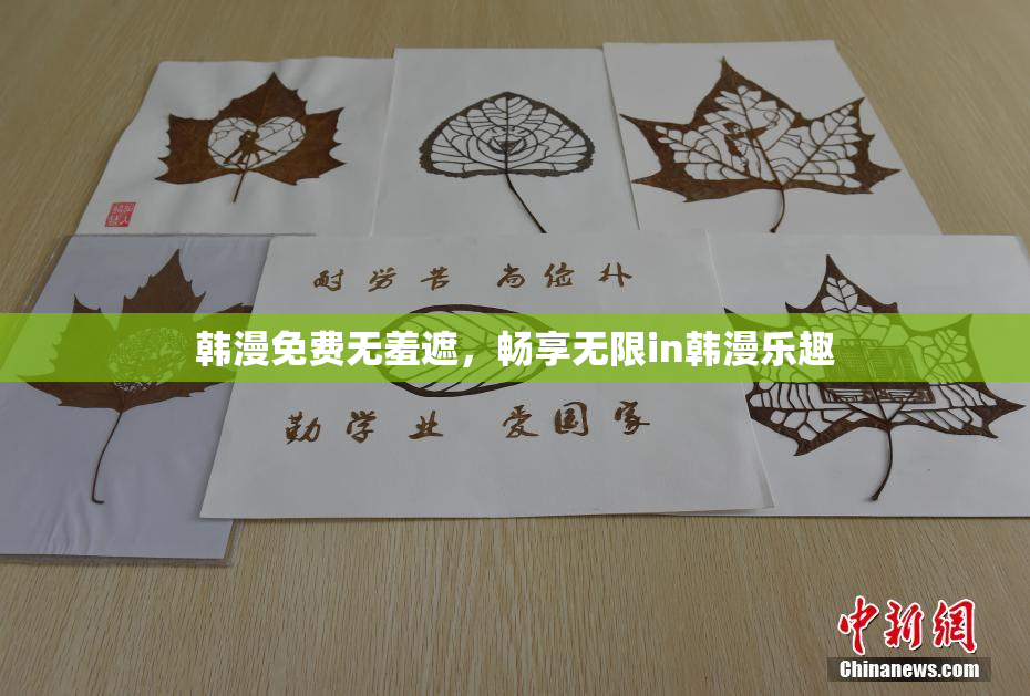 韩漫免费无羞遮，畅享无限in韩漫乐趣