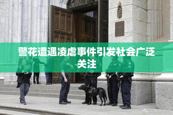 警花遭遇凌虐事件引发社会广泛关注