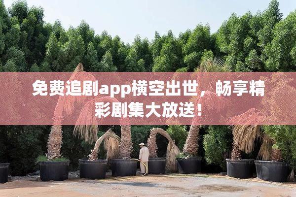 免费追剧app横空出世，畅享精彩剧集大放送！