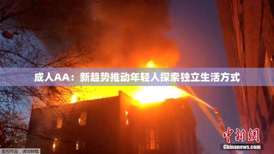 成人AA：新趋势推动年轻人探索独立生活方式