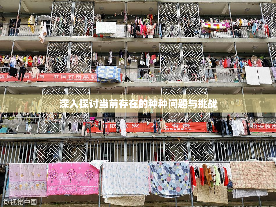 深入探讨当前存在的种种问题与挑战