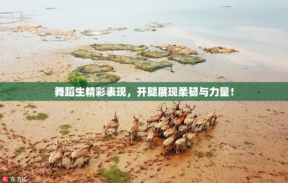 舞蹈生精彩表现，开腿展现柔韧与力量！