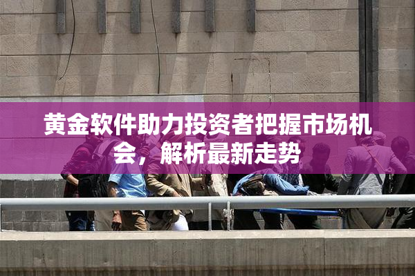 黄金软件助力投资者把握市场机会，解析最新走势