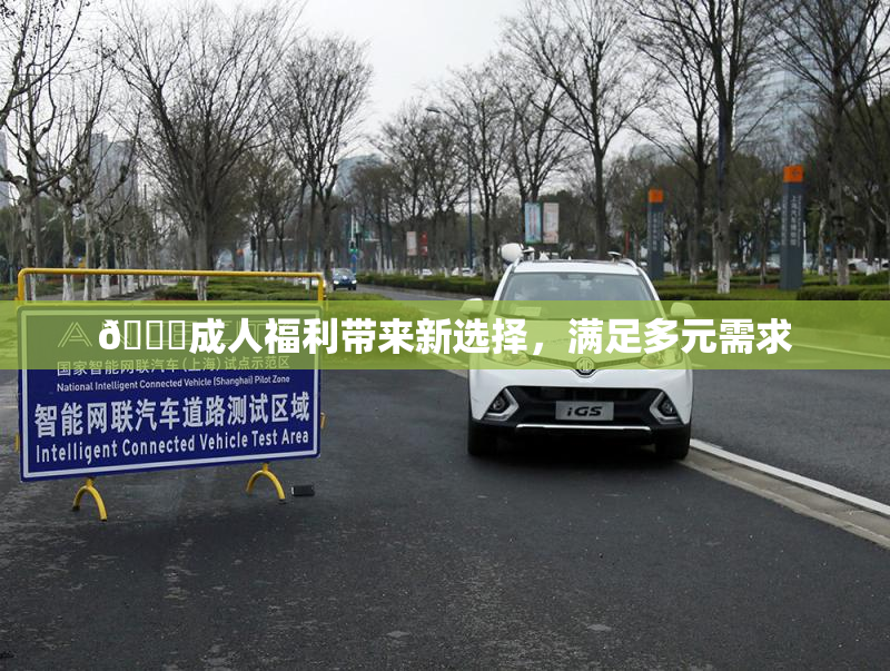 🔞成人福利带来新选择，满足多元需求