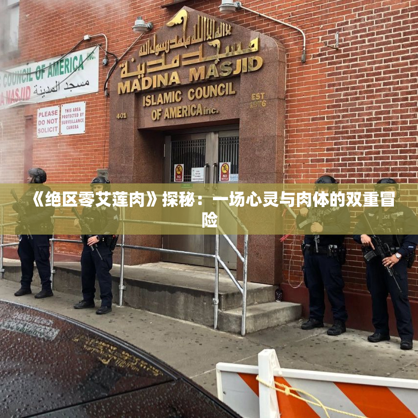 《绝区零艾莲肉》探秘：一场心灵与肉体的双重冒险
