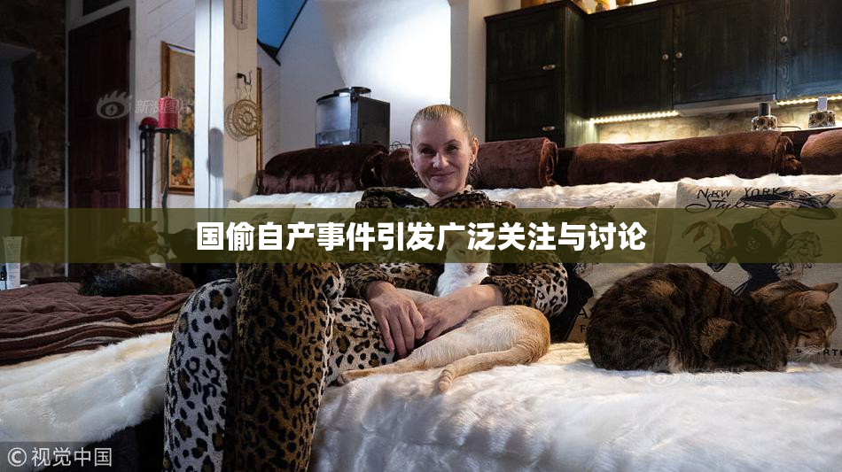 国偷自产事件引发广泛关注与讨论