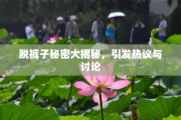 脱裤子秘密大揭秘，引发热议与讨论