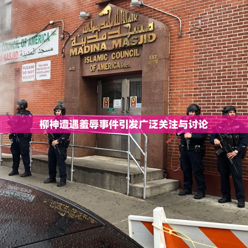 柳神遭遇羞辱事件引发广泛关注与讨论