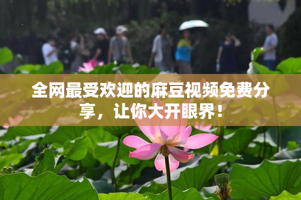 全网最受欢迎的麻豆视频免费分享，让你大开眼界！