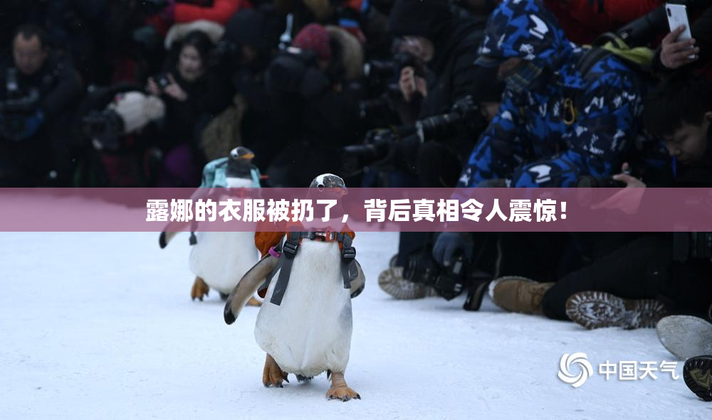 露娜的衣服被扔了，背后真相令人震惊！