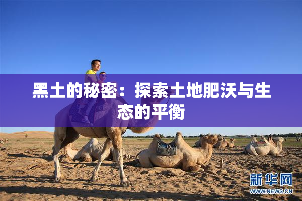黑土的秘密：探索土地肥沃与生态的平衡