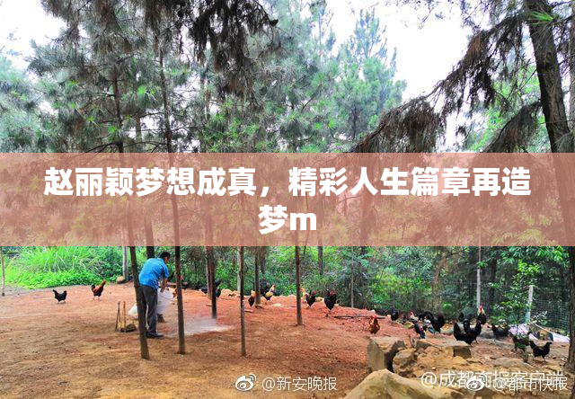 赵丽颖梦想成真，精彩人生篇章再造梦m