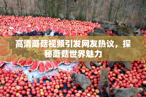 高清蘑菇视频引发网友热议，探秘蘑菇世界魅力