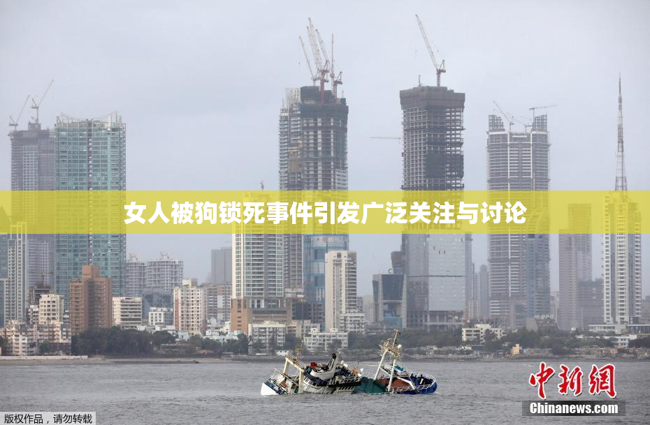 女人被狗锁死事件引发广泛关注与讨论