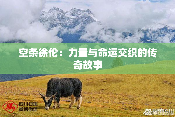 空条徐伦：力量与命运交织的传奇故事