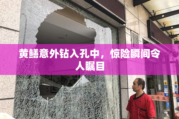 黄鳝意外钻入孔中，惊险瞬间令人瞩目