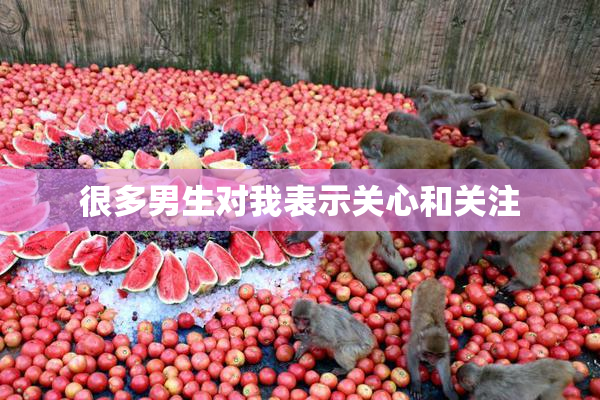 很多男生对我表示关心和关注