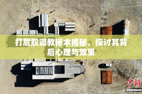 打屁股调教秘术揭秘，探讨其背后心理与效果