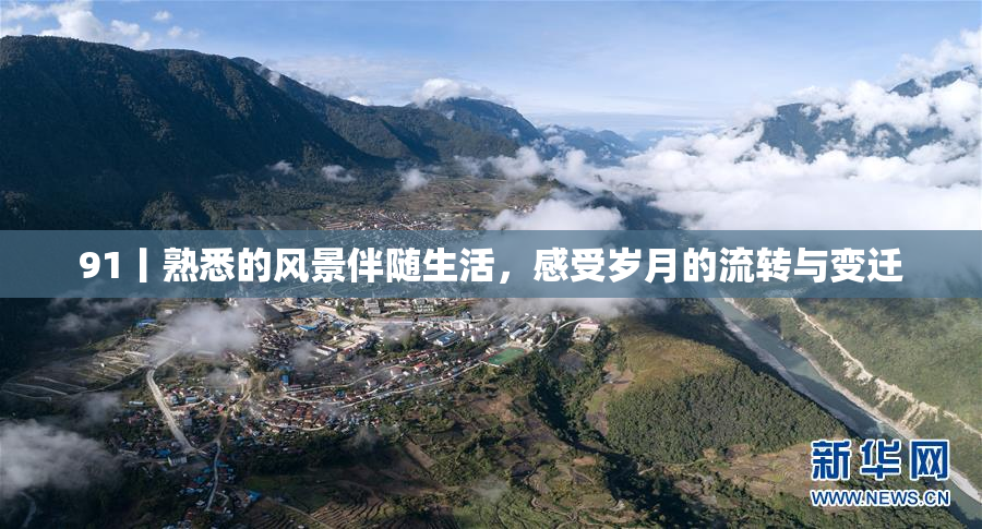 91丨熟悉的风景伴随生活，感受岁月的流转与变迁