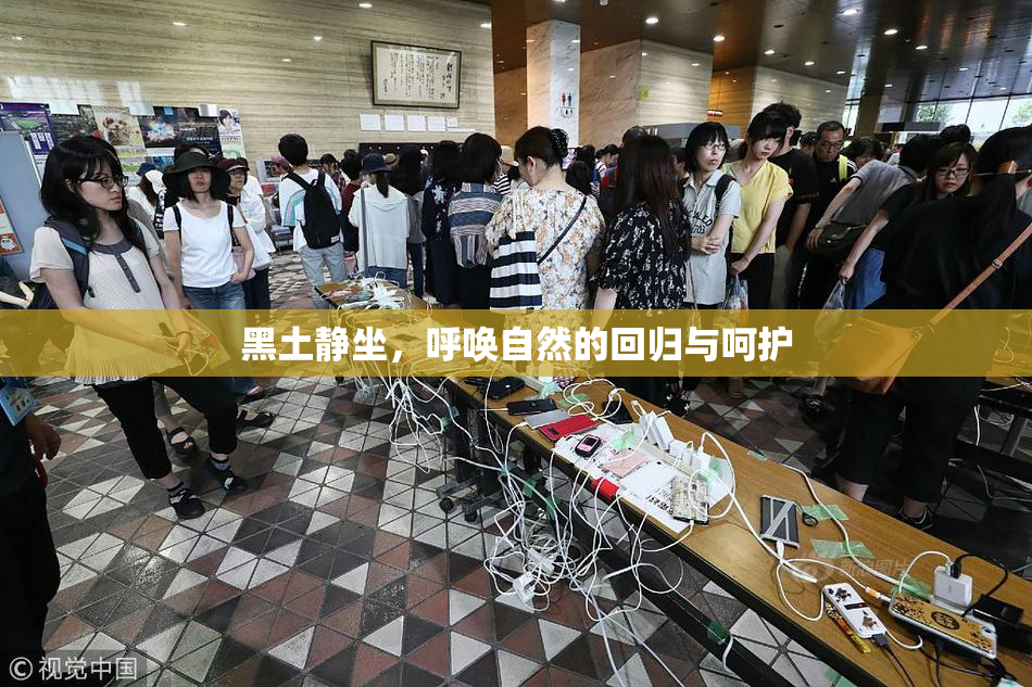 黑土静坐，呼唤自然的回归与呵护