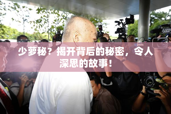 少萝秘？揭开背后的秘密，令人深思的故事！