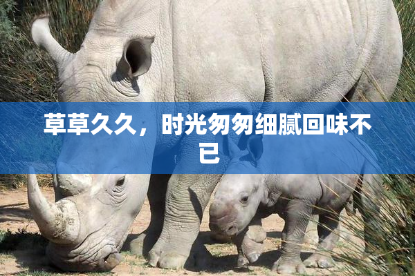 草草久久，时光匆匆细腻回味不已