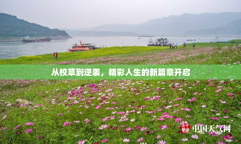 从校草到逆袭，精彩人生的新篇章开启