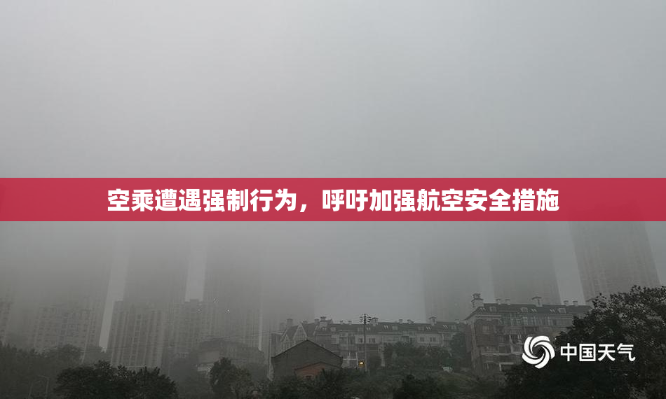 空乘遭遇强制行为，呼吁加强航空安全措施