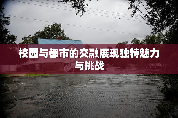 校园与都市的交融展现独特魅力与挑战