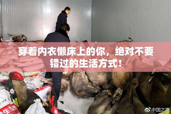 穿着内衣懒床上的你，绝对不要错过的生活方式！