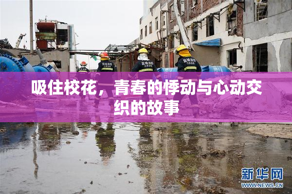 吸住校花，青春的悸动与心动交织的故事