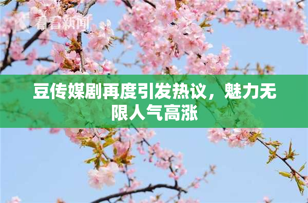 豆传媒剧再度引发热议，魅力无限人气高涨