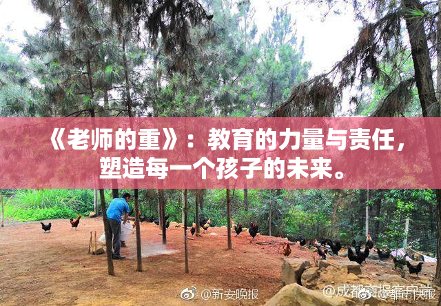 《老师的重》：教育的力量与责任，塑造每一个孩子的未来。