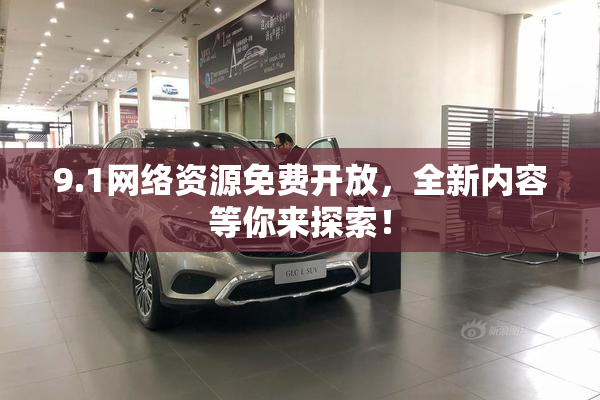 9.1网络资源免费开放，全新内容等你来探索！