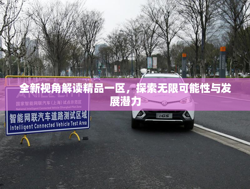 全新视角解读精品一区，探索无限可能性与发展潜力