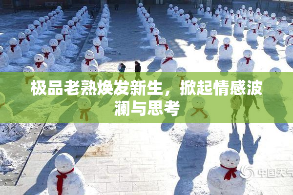 极品老熟焕发新生，掀起情感波澜与思考